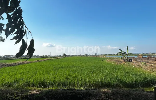 image KAVLING CERME GRESIK HANYA 595RB AN DEKAT GATE TOL CERME (1)