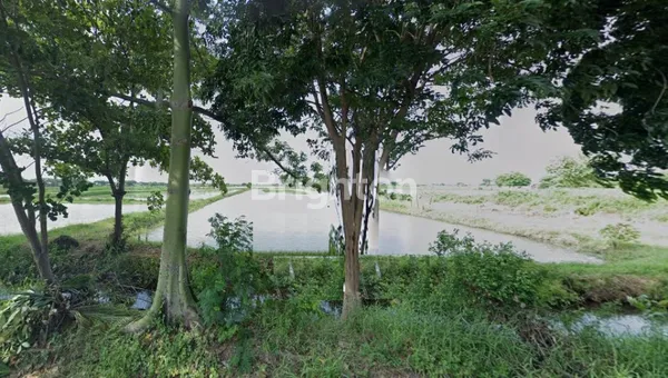 image KAVLING CERME GRESIK HANYA 595RB AN DEKAT GATE TOL CERME (2)