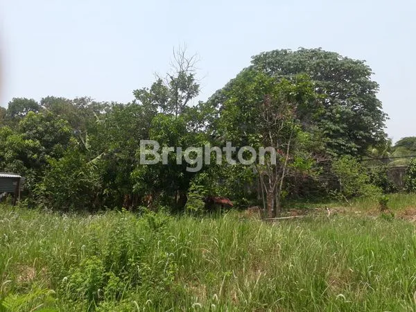 image LAHAN DATAR SIAP BANGUN ,COCOK UNTUK USAHA ATAU RUMAH (3)