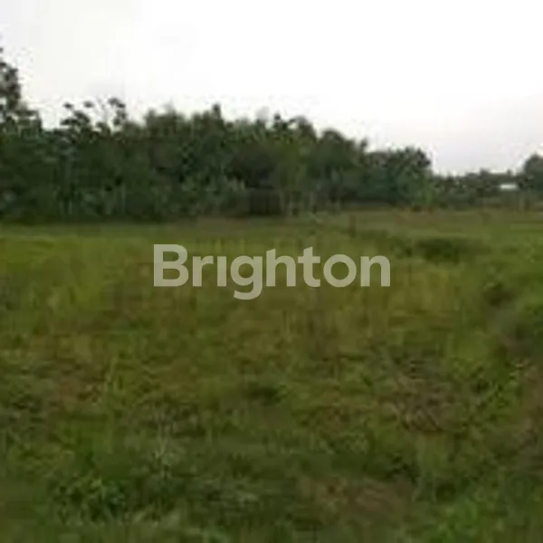 image LAHAN BEKAS PABRIK LOKASI JETIS MOJOKERTO !! (1)