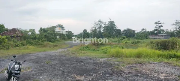 image TANAH SAWAH DENGAN AKSES JALAN LEBAR DI PASURUAN JAWA TIMUR (2)
