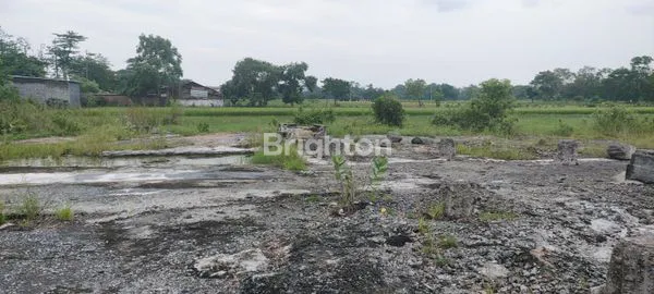 image TANAH SAWAH DENGAN AKSES JALAN LEBAR DI PASURUAN JAWA TIMUR (3)