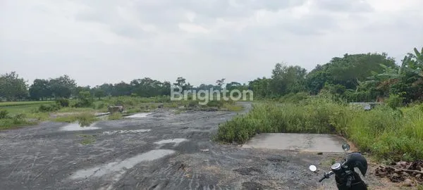 image TANAH SAWAH DENGAN AKSES JALAN LEBAR DI PASURUAN JAWA TIMUR (4)