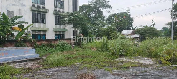 image TANAH SAWAH DENGAN AKSES JALAN LEBAR DI PASURUAN JAWA TIMUR (5)