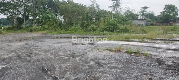 image TANAH SAWAH DENGAN AKSES JALAN LEBAR DI PASURUAN JAWA TIMUR (7)