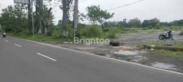 image TANAH SAWAH DENGAN AKSES JALAN LEBAR DI PASURUAN JAWA TIMUR (8)