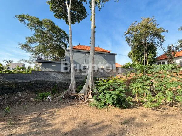 image LEASEHOLD LAND IN CANGGU - TANAH 7 ARE CANGGU (4)