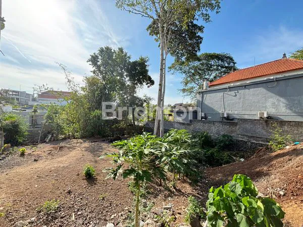 image LEASEHOLD LAND IN CANGGU - TANAH 7 ARE CANGGU (7)