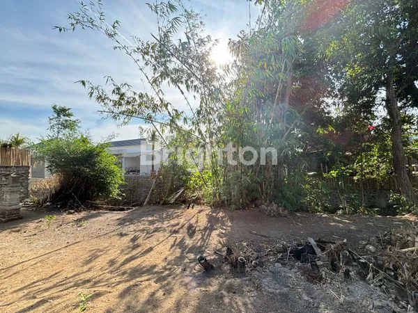 image LEASEHOLD LAND IN CANGGU - TANAH 7 ARE CANGGU (3)