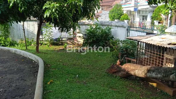 image RUMAH ASRI DAN LUAS  (7)