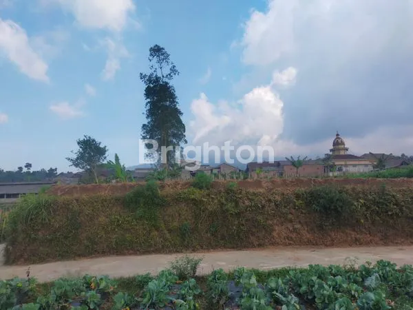 image TANAH SIAP BANGUN ATAU USAHA BANARAN NGABLAK (3)