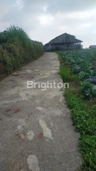 image TANAH SIAP BANGUN ATAU USAHA BANARAN NGABLAK (4)