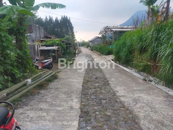image TANAH SIAP BANGUN ATAU USAHA BANARAN NGABLAK MAGELANG (3)