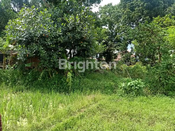 image TANAH STRATEGIS RAMAI DI TAWANG TASIKMALAYA KOTA (3)