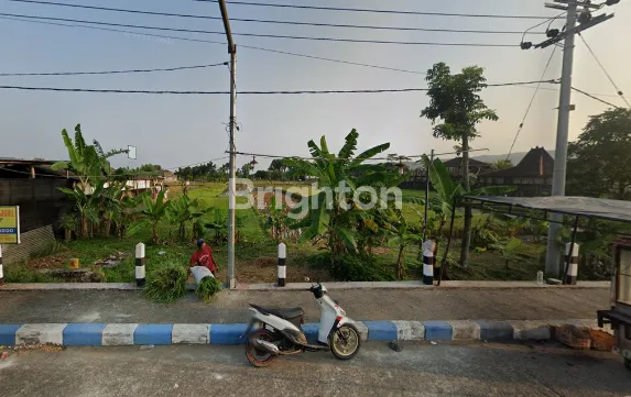 image TANAH SAWAH (1)