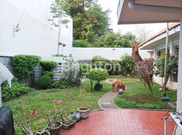 image KAPUAS SIAP HUNI DAERAH KOMERSIAL KAWASAN CAFE SEBERANGAN DARI OPAK (6)