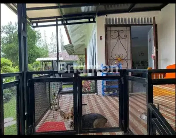 image VILLA CANTIK KOTA BUNGA CIPANAS CIANJUR (3)