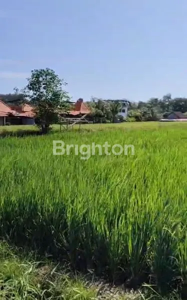 image TANAH ZONA PARIWISATA DEKAT PANTAI KELATING (2)