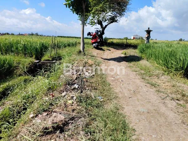 image TANAH ZONA PARIWISATA DEKAT PANTAI KELATING (4)