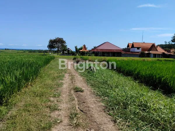 image TANAH ZONA PARIWISATA DEKAT PANTAI KELATING (5)