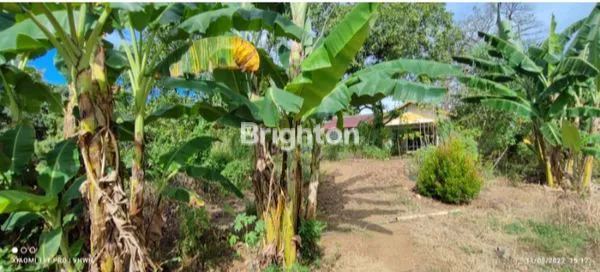 image TANAH PERINTIS KEMERDEKAAN (3)