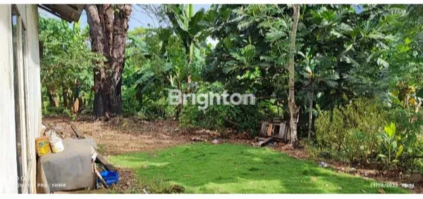 image TANAH PERINTIS KEMERDEKAAN (5)