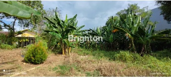 image TANAH PERINTIS KEMERDEKAAN (6)