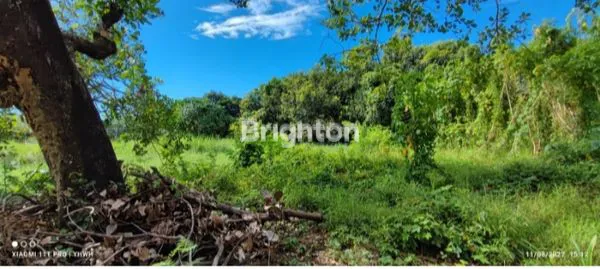 image TANAH PERINTIS KEMERDEKAAN (7)