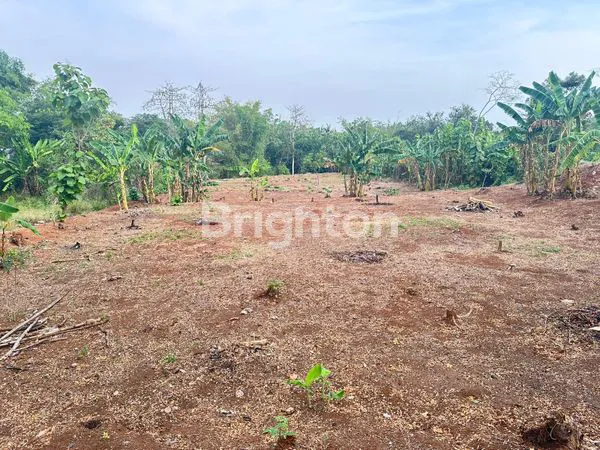 TANAH LUAS DAN STRATEGIS DI BANDENGAN JEPARA