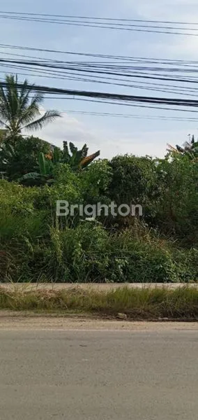 image LAHAN LUAS PINGGIR JALAN UTAMA (1)