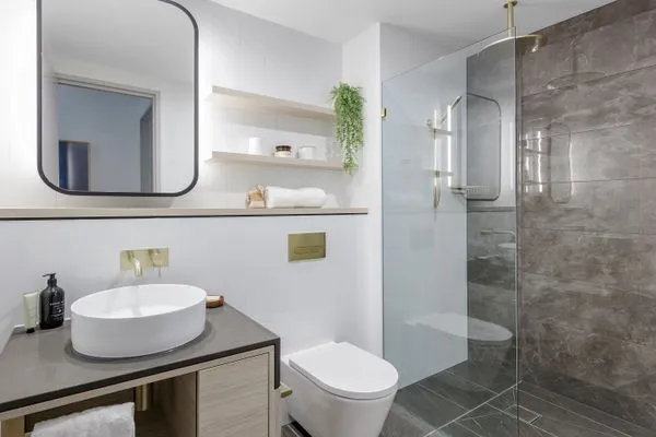 Image IMG_0832-r B_v1_current.jpg