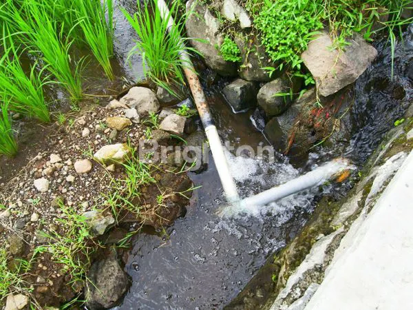 image TANAH DENGAN SUMBER AIR DI PRIGEN PASURUAN (2)