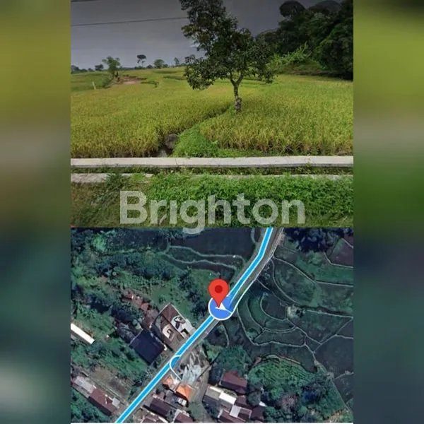 image TANAH DENGAN SUMBER AIR DI PRIGEN PASURUAN (3)