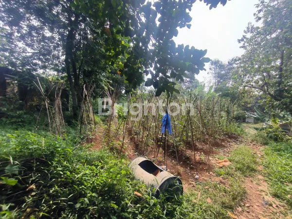 image TANAH LOKASI BAGUS DAERAH KEMANG BOGOR 100 METER KE JALAN RAYA (2)