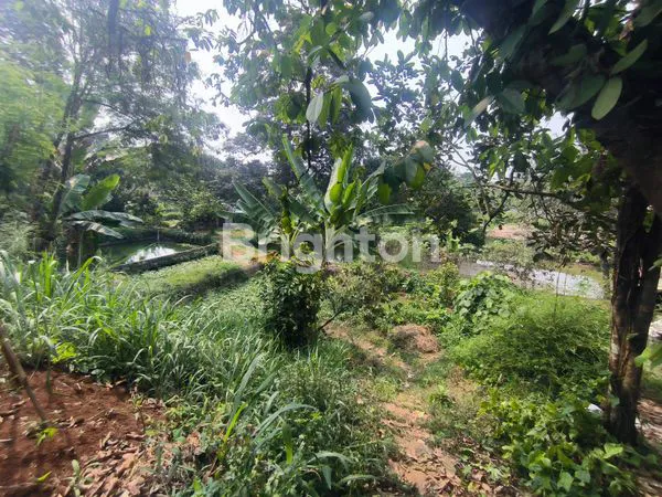 image TANAH LOKASI BAGUS DAERAH KEMANG BOGOR 100 METER KE JALAN RAYA (3)