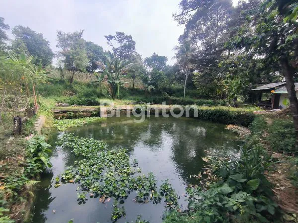 image TANAH LOKASI BAGUS DAERAH KEMANG BOGOR 100 METER KE JALAN RAYA (4)