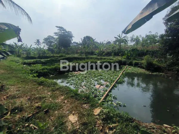 image TANAH LOKASI BAGUS DAERAH KEMANG BOGOR 100 METER KE JALAN RAYA (5)