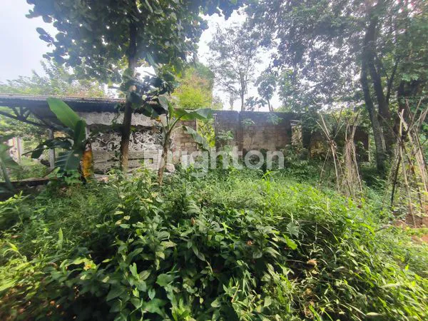 image TANAH LOKASI BAGUS DAERAH KEMANG BOGOR 100 METER KE JALAN RAYA (6)