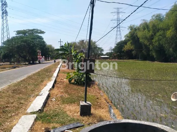 image DIJUAL TANAH KERSIKAN GENENG NGAWI  (2)