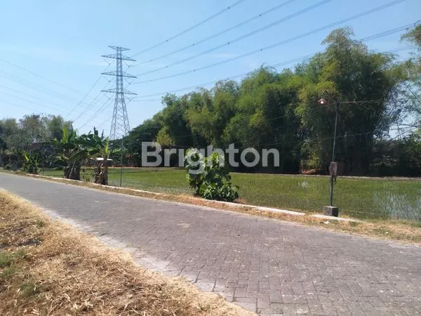 image DIJUAL TANAH KERSIKAN GENENG NGAWI  (3)