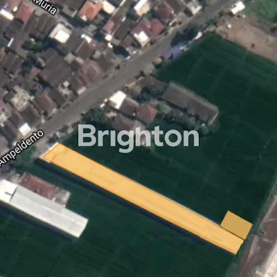 image DIJUAL TANAH DIPINGGIR JALAN RAYA PAKIS MALANG (2)