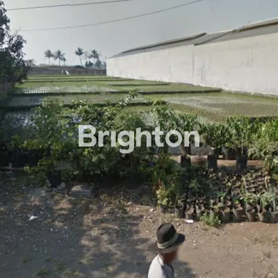 image DIJUAL TANAH DIPINGGIR JALAN RAYA PAKIS MALANG (3)