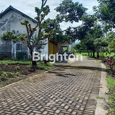 image DIJUAL BANGUNAN GUDANG DAN TANAH DI PINGGIR JALAN RAYA PAKIS MALANG (2)