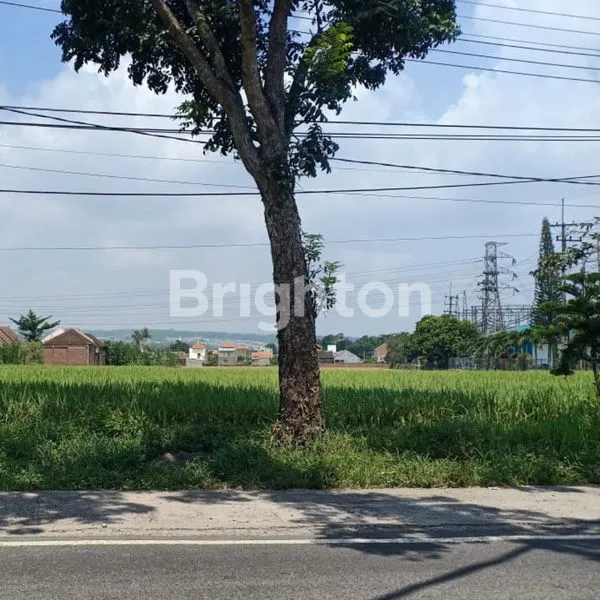 image DIJUAL  TANAH DI PINGGIR JALAN RAYA PAKIS MALANG (2)