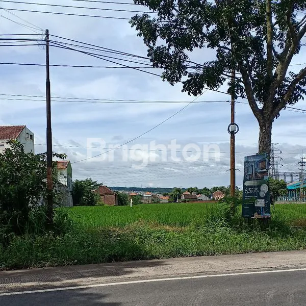image DIJUAL  TANAH DI PINGGIR JALAN RAYA PAKIS MALANG (3)