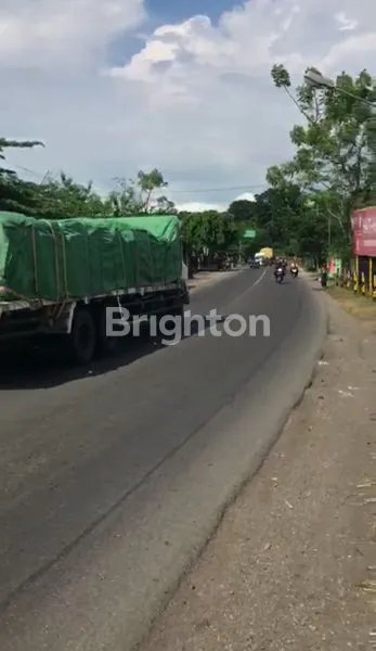 image TANAH NOL JALAN PROBOLINGGO LOKASI STRATEGIS (3)
