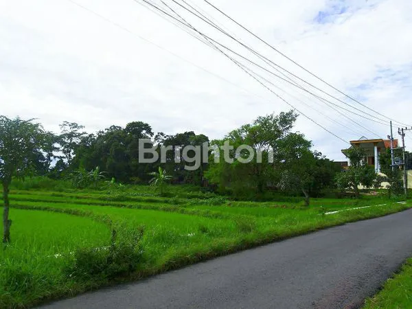 image TANAH DENGAN SUMBER AIR DI PRIGEN PASURUAN (1)