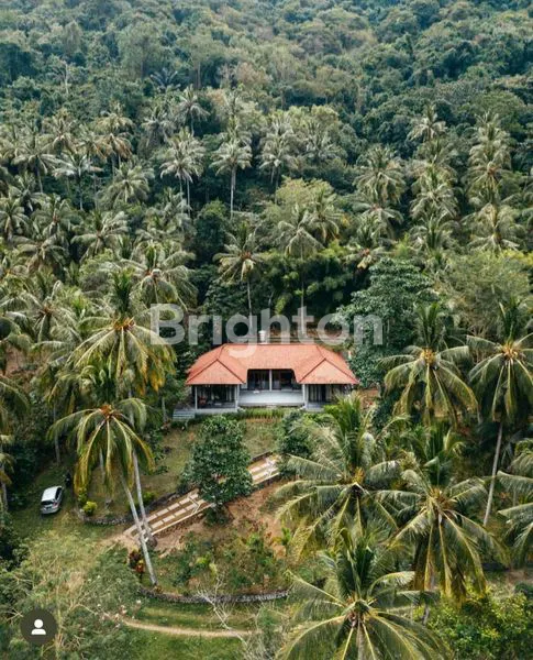 image RUMAH INI COCOK BAGI ANDA YANG MENYUKAI SUASANA SUNYI  & SEJUK (2)