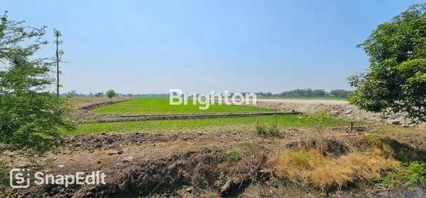 image TANAH ZONA MERAH SIAP BANGUN DI DESA GONDANG - SRAGEN (3)