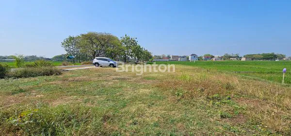 image TANAH ZONA MERAH SIAP BANGUN DI DESA GONDANG - SRAGEN (4)